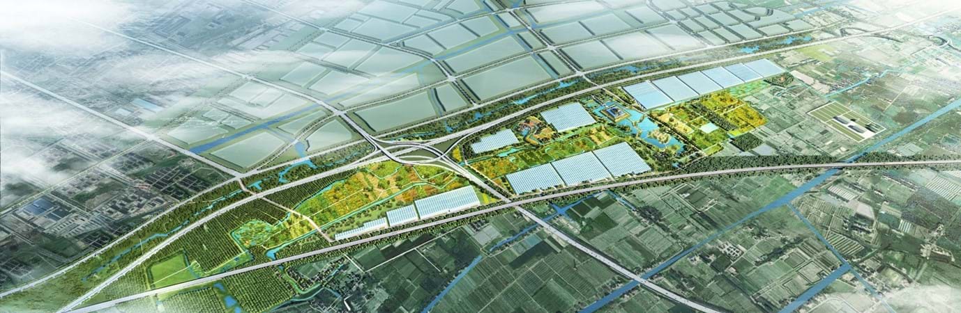Featured image for “Sino Dutch Integrated Agri-Parks”